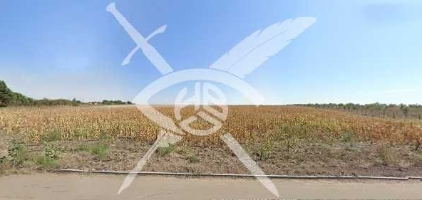 Парцел в Бургас, Лозово - 50000 кв.м за 19 €/кв.м - Снимка #1