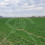 Парцел в Пловдив, Коматево - 3500 кв.м за 30 €/кв.м - Снимка #1