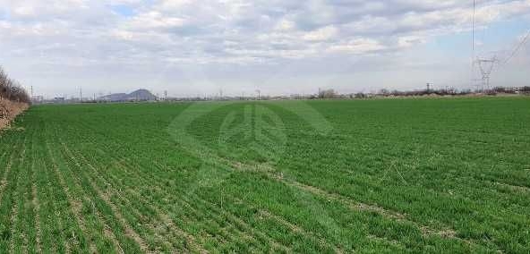 Парцел в Пловдив, Коматево - 3500 кв.м за 30 €/кв.м - Снимка #1