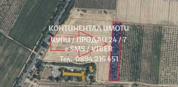 Земеделски имот в с. Цалапица, Област Пловдив -  кв.м за 2975 €/дка - Снимка #1