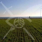 Парцел в Ахелой - 1997 кв.м за 88 €/кв.м - Снимка #1