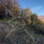 Парцел в с. Тополово, Област Пловдив - 1280 кв.м за 43 €/кв.м - Снимка #1