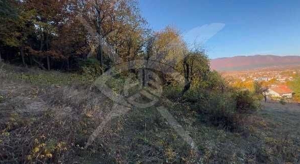 Парцел в с. Тополово, Област Пловдив - 1280 кв.м за 43 €/кв.м - Снимка #1