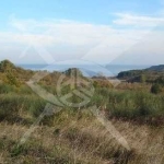 Парцел в Созопол - 8298 кв.м за 39 €/кв.м - Снимка #1