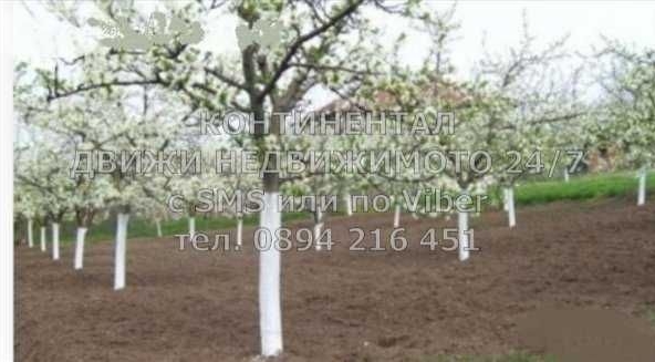 Парцел в с. Церетелево, Област Пловдив - 2000 кв.м за 12 €/кв.м - Снимка #1