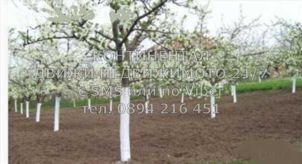 Парцел в с. Церетелево, Област Пловдив - 2000 кв.м за 12 €/кв.м - Снимка #1