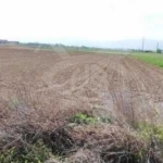 Парцел в с. Труд, Област Пловдив - 8898 кв.м за 8 €/кв.м - Снимка #1