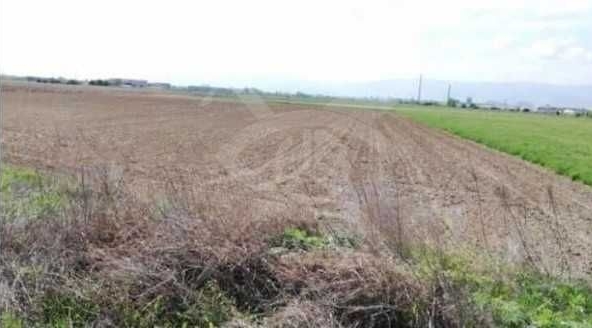 Парцел в с. Труд, Област Пловдив - 8898 кв.м за 8 €/кв.м - Снимка #1