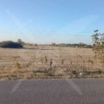 Парцел в с. Маноле, Област Пловдив - 5000 кв.м за 5 €/кв.м - Снимка #1