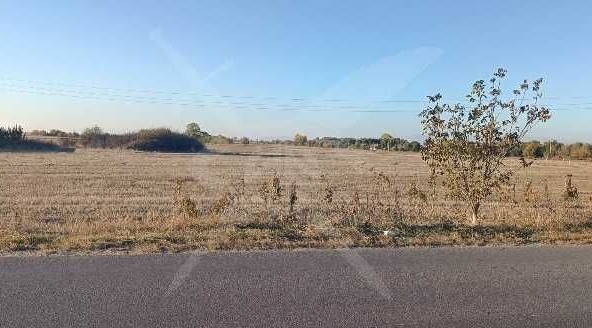 Парцел в с. Маноле, Област Пловдив - 5000 кв.м за 5 €/кв.м - Снимка #1