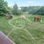 Парцел в Приморско - 1000 кв.м за 103 €/кв.м - Снимка #1