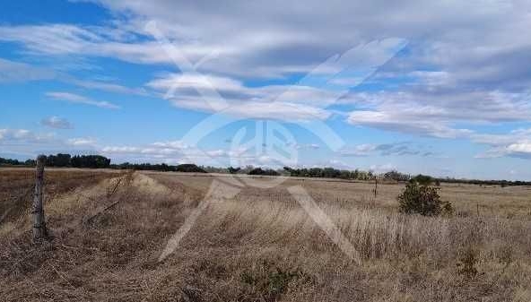 Парцел в с. Оризари, Област Пловдив - 31000 кв.м за 5 €/кв.м - Снимка #1