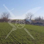 Парцел в Поморие - 5000 кв.м за 3 €/кв.м - Снимка #1