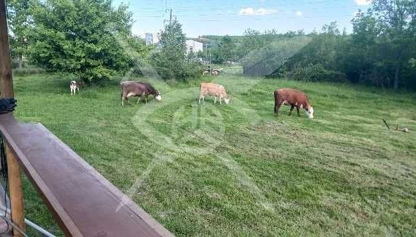 Парцел в Приморско - 1000 кв.м за 53 €/кв.м - Снимка #1