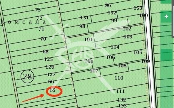 Парцел в с. Марково, Област Пловдив - 3700 кв.м за 15 €/кв.м - Снимка #1