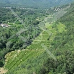 Парцел в с. Храбрино, Област Пловдив - 68188 кв.м за 6 €/кв.м - Снимка #1