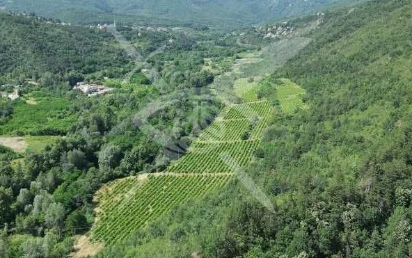 Парцел в с. Храбрино, Област Пловдив - 68188 кв.м за 6 €/кв.м - Снимка #1