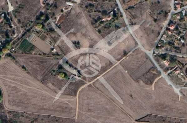 Парцел в с. Просеник, Област Бургас - 9666 кв.м за 8 €/кв.м - Снимка #1