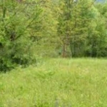 Парцел в с. Маноле, Област Пловдив - 900 кв.м за 30 €/кв.м - Снимка #1