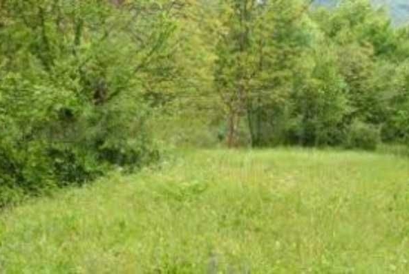 Парцел в с. Маноле, Област Пловдив - 900 кв.м за 30 €/кв.м - Снимка #1