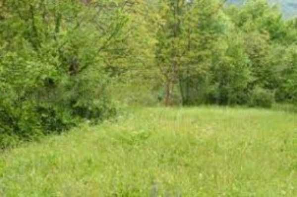 Парцел в с. Маноле, Област Пловдив - 900 кв.м за 30 €/кв.м - Снимка #1