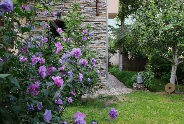 Къща в Перущица - 360 кв.м за 354 €/кв.м - Снимка #1