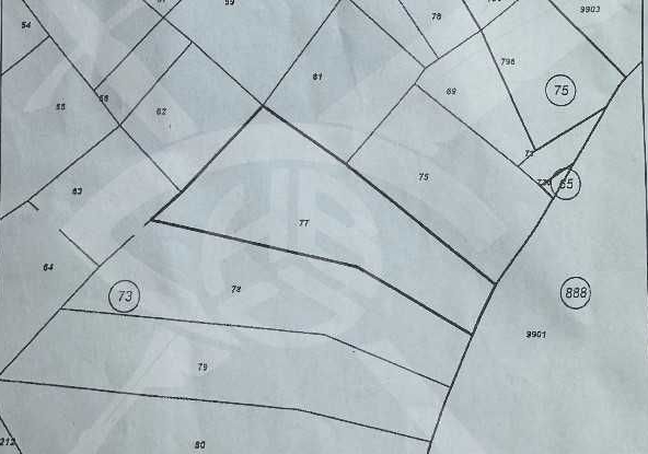 Парцел в Хисаря - 2000 кв.м за 90 €/кв.м - Снимка #1