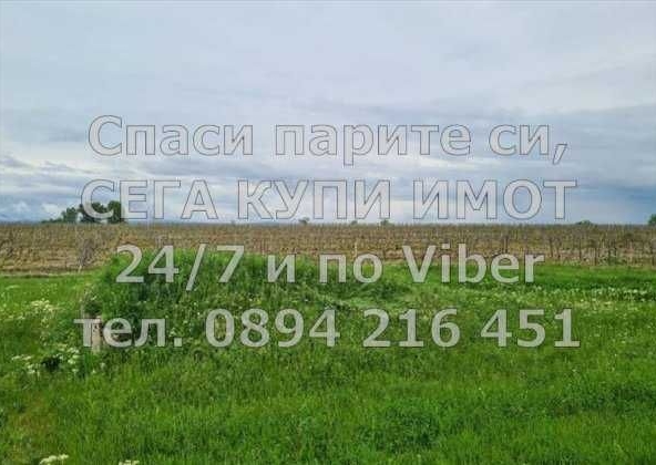 Земеделски имот в с. Драгомир, Област Пловдив -  кв.м за 3647 €/дка - Снимка #1