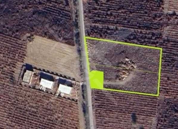 Парцел в с. Марково, Област Пловдив - 5401 кв.м за 90 €/кв.м - Снимка #1