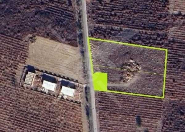 Парцел в с. Марково, Област Пловдив - 5401 кв.м за 90 €/кв.м - Снимка #1