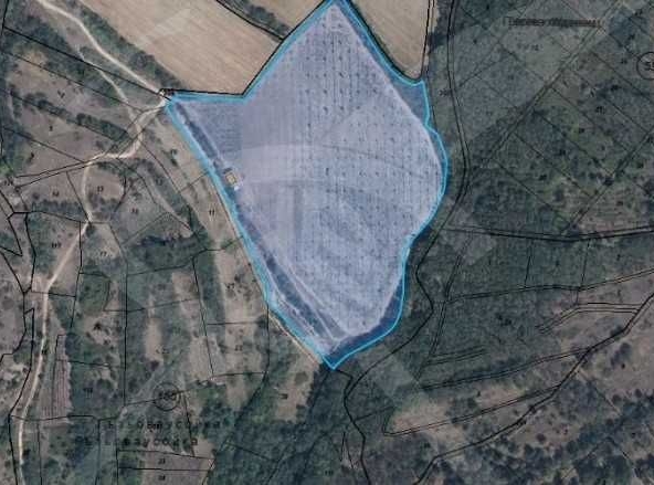 Парцел в с. Войнягово, Област Пловдив - 45000 кв.м за 3 €/кв.м - Снимка #1