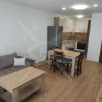 Дава се под наем Двустаен апартамент в Пловдив, Кючук Париж - 55 кв.м за 500 € - Снимка #1