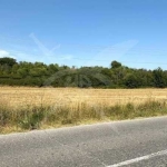 Парцел в Асеновград - 3927 кв.м за 8 €/кв.м - Снимка #1