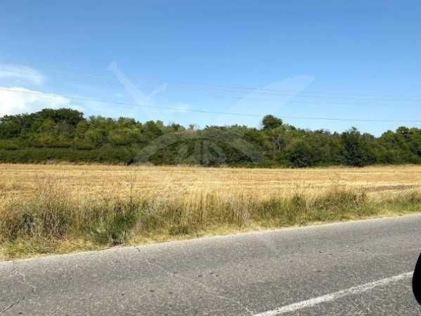 Парцел в Асеновград - 3927 кв.м за 8 €/кв.м - Снимка #1