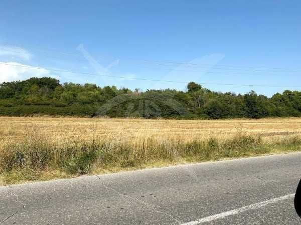 Парцел в Асеновград - 3927 кв.м за 8 €/кв.м - Снимка #1