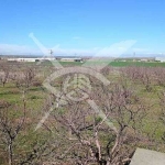 Парцел в с. Конуш, Област Пловдив - 20000 кв.м за 5 €/кв.м - Снимка #1