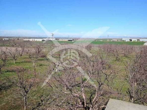 Парцел в с. Конуш, Област Пловдив - 20000 кв.м за 5 €/кв.м - Снимка #1