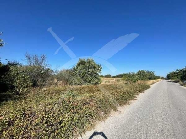 Парцел в Стамболийски - 3707 кв.м за 50 €/кв.м - Снимка #1