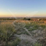 Парцел в с. Белащица, Област Пловдив - 2260 кв.м за 146 €/кв.м - Снимка #1