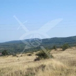 Парцел в София, Хладилника - 1500 кв.м за 29 €/кв.м - Снимка #1