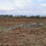 Парцел в с. Радиново, Област Пловдив - 2899 кв.м за 8 €/кв.м - Снимка #1