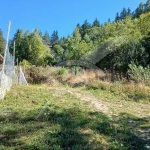 Парцел в с. Ситово, Област Пловдив - 860 кв.м за 21 €/кв.м - Снимка #1