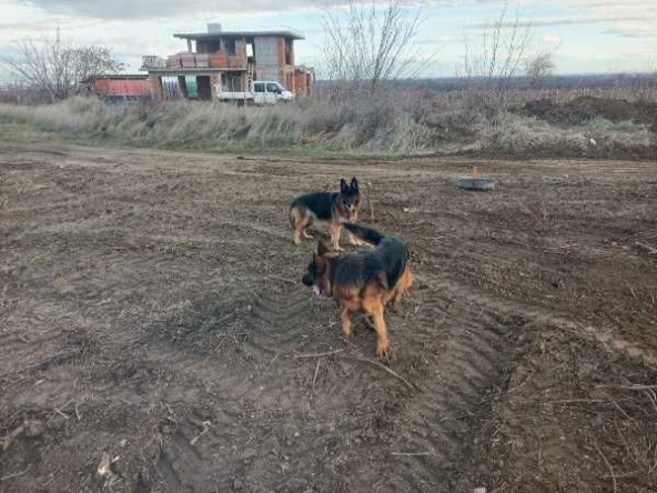 Парцел в с. Брестник, Област Пловдив - 991 кв.м за 19 €/кв.м - Снимка #1