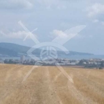 Парцел в с. Тънково, Област Бургас - 3100 кв.м за 6 €/кв.м - Снимка #1