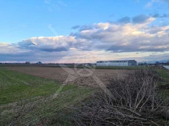 Парцел в с. Строево, Област Пловдив - 4499 кв.м за 18 €/кв.м - Снимка #1