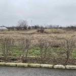 Парцел в с. Оризари, Област Пловдив - 650 кв.м за 39 €/кв.м - Снимка #1