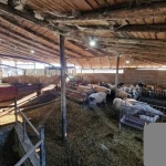 Промишлена сграда в с. Боянци, Област Пловдив - 250 кв.м за 60 €/кв.м - Снимка #1