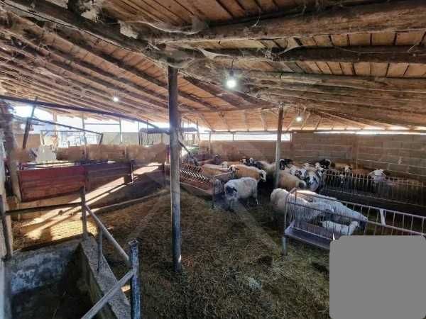 Промишлена сграда в с. Боянци, Област Пловдив - 250 кв.м за 60 €/кв.м - Снимка #1