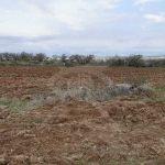 Земеделски имот в Куклен -  кв.м за 16 €/дка - Снимка #1