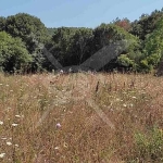 Парцел в с. Индже войвода, Област Бургас - 5200 кв.м за 1 €/кв.м - Снимка #1